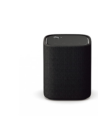Bluetooth Audio