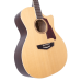 D'Angelico DAPG200NATAP Premier Gramercy Acoustic-Electric Guitar - Natural